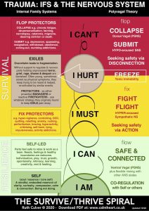 This infographic maps Internal Family Systems with Polyvagal Theory and ...